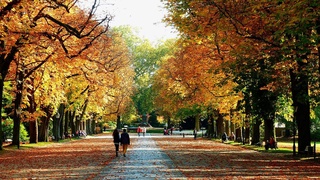 Прогноз погоды на 2 ноября