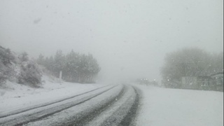 Qalin qor yogʻganligi tufayli “Taxtaqoracha” dovoni vaqtincha yopildi