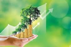 “Atrof-muhitni asrash va “yashil” iqtisodiyot yili”ga moʻljallangan Davlat dasturining asosiy yangiliklari