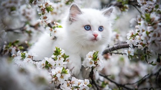 Какая погода ждет узбекистанцев в начале марта?