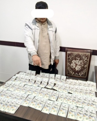 4 ta hududda yer maydonlarini sotish bilan bogʻliq firibgarlik holatlari aniqlandi