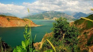 В Узбекистане создается НИИ окружающей среды и природоохранных технологий