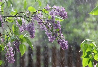 Прогноз погоды на 6 апреля