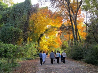 Ботанический сад не переходит на баланс хокимията Ташкента