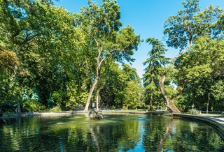 Узгидромет: с середины недели температура в Узбекистане понизится ночью до +17 градусов
