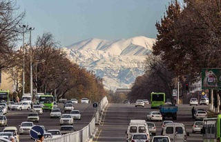 Ўзбекистон бўйича 6-10 февраль учун об-ҳаво башорати: кейинги совуқ кучли бўлмайди