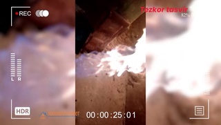 Toshkent viloyatida tabiiy gazdan oʻgʻrincha foydalangan issiqxona aniqlandi