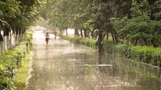 Прогноз погоды на 19 мая