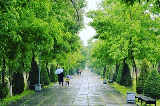 Прогноз погоды на 7 мая