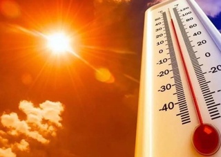 Май становится жарче: в Ташкенте фиксируют климатические изменения