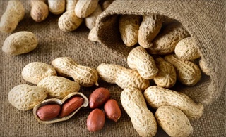 Uzbekistan exported 4.3 thousand tons of peanuts in three months