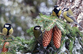 Прогноз погоды на 21 декабря