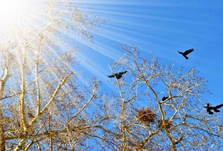 Пешгӯии обу ҳаво барои 22 декабр