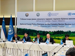 Иккита йирик халқаро ташкилот Ўзбекистондаги ўрмон майдонларини тиклаш бўйича кучларни бирлаштиради