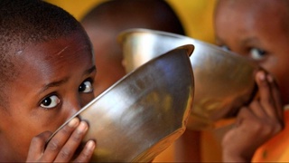 ФАО: продовольственный кризис из-за пандемии угрожает 27 странам