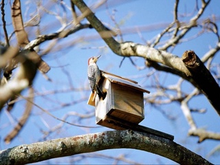 Пешгӯии обу ҳаво барои 20 феврал