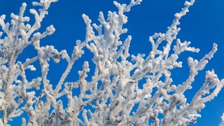 Qozog'istonda 45 daraja sovuq bo'lishi kutilmoqda