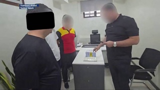 В Ташкенте изъято 728 граммов кокаина, отправленного из Африки, а в Бостанлыкском районе обнаружено 17,6 тысячи кустов мака