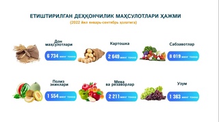 Қишлоқ хўжалиги маҳсулотлари ҳажми 248,6 трлн. сўмни ташкил этган