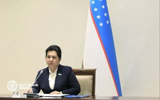 Председатель Сената: «Усиление норм закона недостаточно для обеспечения прав ребенка»