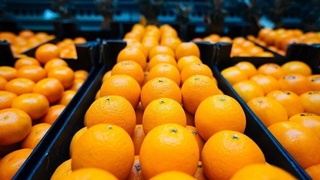 Иран логистика орайы Өзбекстан менен бирге ислесиўди жолға қоймақшы