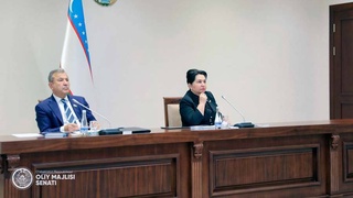 Рассмотрен вопрос об изменении границ ряда районов и городов Ташкентской области