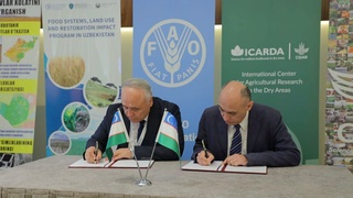 ФАО и ИКАРДА развивают сотрудничество для устойчивого развития сельского хозяйства в Узбекистане