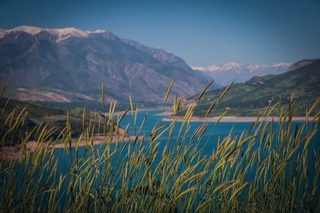 Ҳайвонот дунёсига хавф йўқ