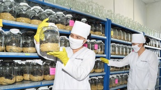 Индийские предприниматели делятся опытом работы на земле