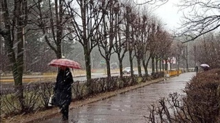 Прогноз погоды на 12 февраля