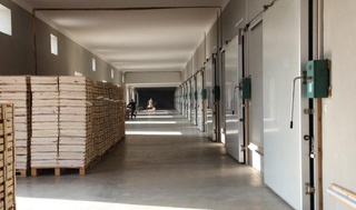 Kredit mablagʻini oʻzlashtirgan fermer xoʻjaligi rahbari aniqlandi