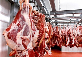 Ўзбекистон фуқаролари Саудия Арабистонига қассобчиликка жалб қилиниши мумкин