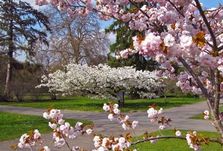 Weather forecast for March 13