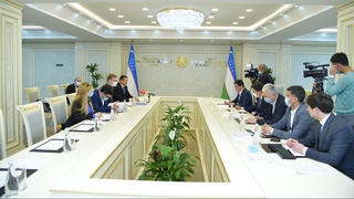 Сенаторы изучили эффективность работы программного комплекса «Labor Migration»