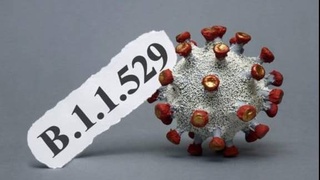 В ВОЗ выдвинули гипотезу происхождения «омикрон»-штамма коронавируса