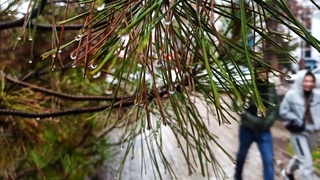 18-22 декабрь күндеріне арналған ауа райы болжамы жарияланды