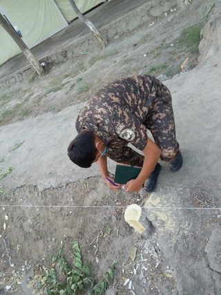 Дарахтлар нега кесилди?