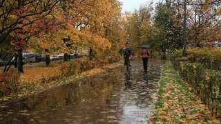 Ўзгидромет 27 октябрь куни кузатиладиган об-ҳаво прогнозини эълон қилди