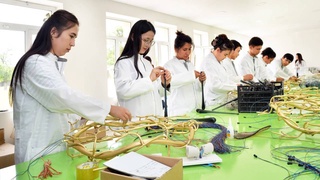 Всесторонняя поддержка инициативных предпринимателей