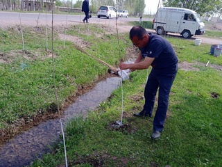 “Яшил макон”: бугунги меҳнат эртангги боғ демакдир