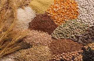 В каком регионе выращено больше всего зерна?