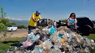 …И зашумят дубовые леса