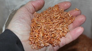 Yfngi qaror loyihasi monpoliyaga olib keladimi?