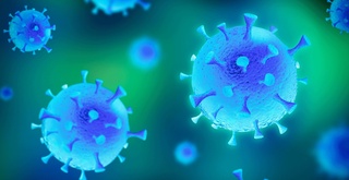 “COVID-19”га чалинган одам тузли овқатларни истеъмол қилса бўладими?