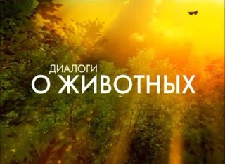 Тошкент ҳайвонот боғи "Диалогов о животных" лойиҳаси нишонида