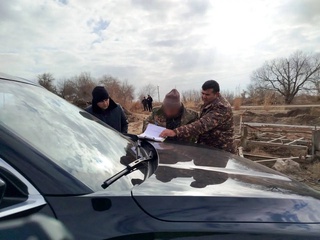 В Хорезмской области выявлены случаи незаконной вырубки деревьев