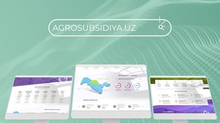 Ауыл шаруашылығы өнімдерін өндірушілерге  «Агросубсидия» ақпараттық жүйесі арқылы субсидия бөлінеді