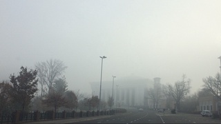 Жойларда туман тушиши кутилади