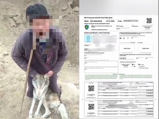 Қойларына ҳүжим еткен қасқырды өлтирген шахсқа жәрийма салынды
