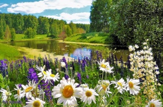 Weather forecast for August 2